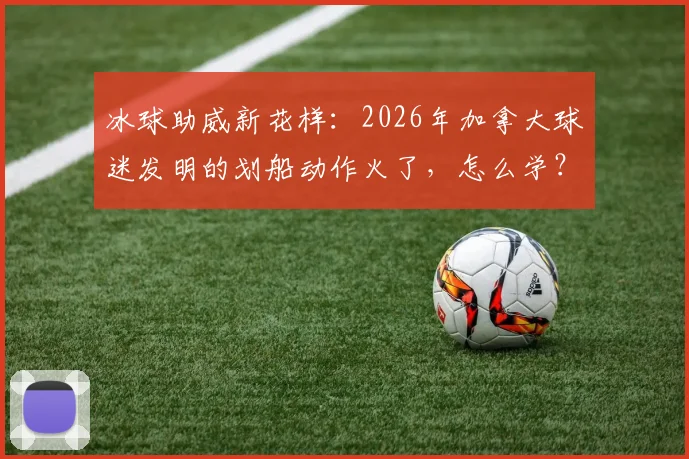 冰球助威新花样：2026年加拿大球迷发明的划船动作火了，怎么学？看这里