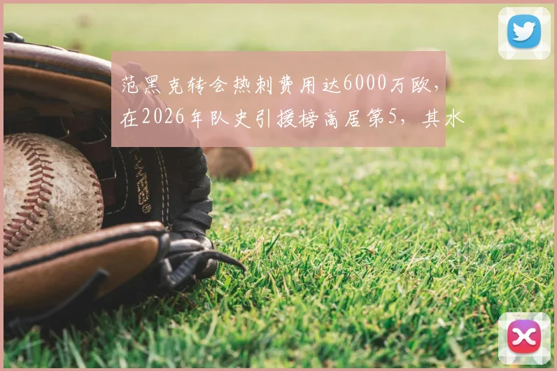 范黑克转会热刺费用达6000万欧,在2026年队史引援榜高居第5,其水平与阵容影响分析